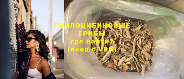 прущие крисы Вяземский