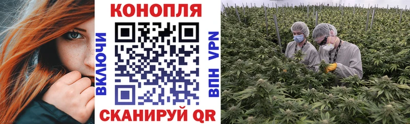 Канабис план  Купить где  Вихоревка 